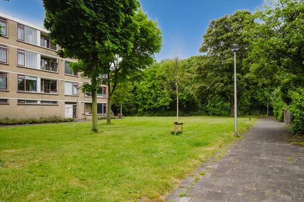 Medium property photo - Frans Halsstraat 41, 3202 TE Spijkenisse